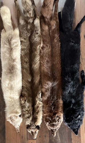 Echt pelz fuchs schal stola - echt,