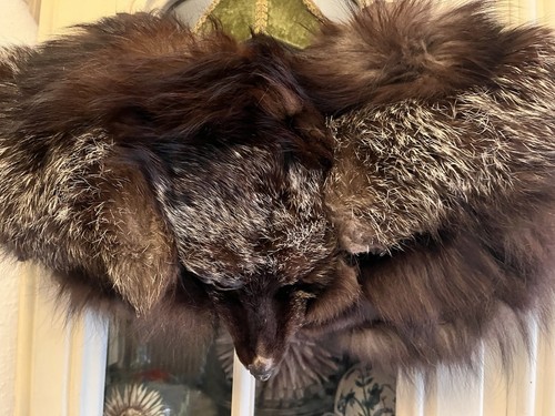 Echt pelz fuchs - pelz,