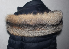 Grisfuchs Pelzstreifen